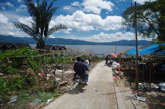 niniek2.jpg niniek2.jpg